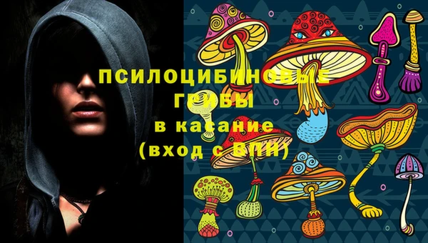 твердый Алексеевка
