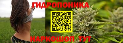 мяу мяу мука Кандалакша