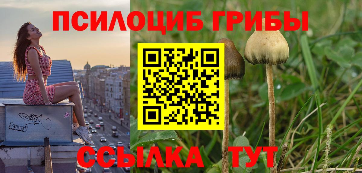 Псилоцибиновые грибы Psilocybine cubensis  Вход с VPN  Красноуфимск  Псилоцибиновые грибы Cubensis 